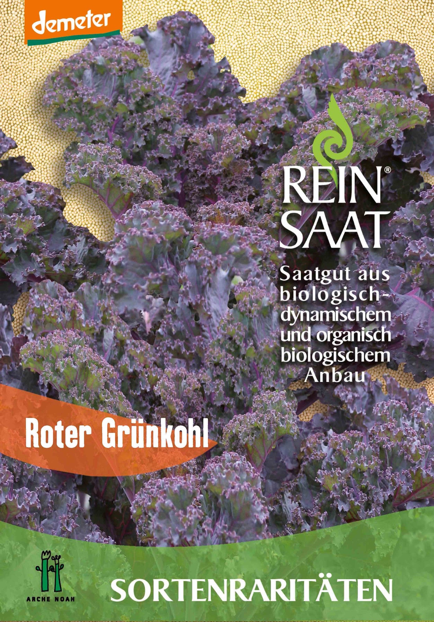 Artikelbild 1 von "BIO Grünkohl Roter Grünkohl" aus der Kategorie Grünkohlsamen