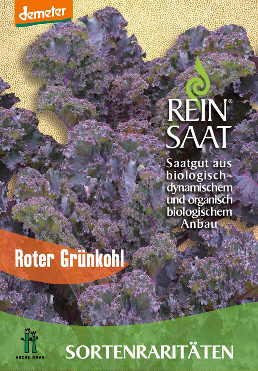 Artikelbild 1 von "BIO Grünkohl Roter Grünkohl" aus der Kategorie Grünkohlsamen