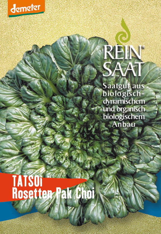 Artikelbild 1 von "BIO Asiagemüse Tatsoi" aus der Kategorie Salatsamen