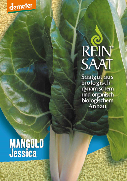 Artikelbild 1 von "BIO Mangold Jessica" aus der Kategorie Mangoldsamen