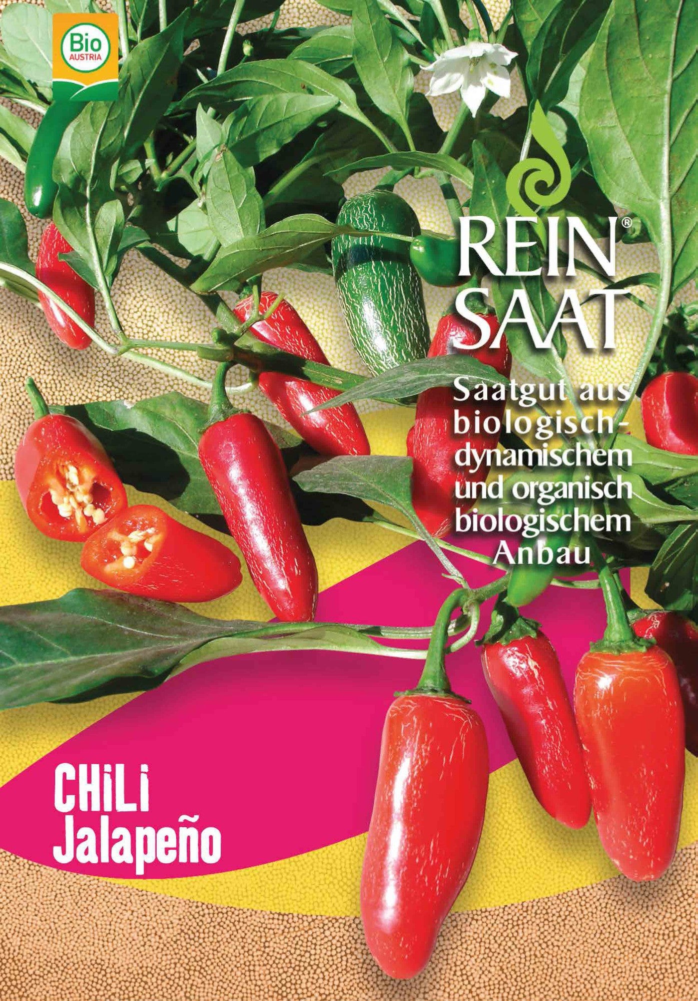 Artikelbild 1 von "BIO Chili Jalapeño" aus der Kategorie Gemüsesamen