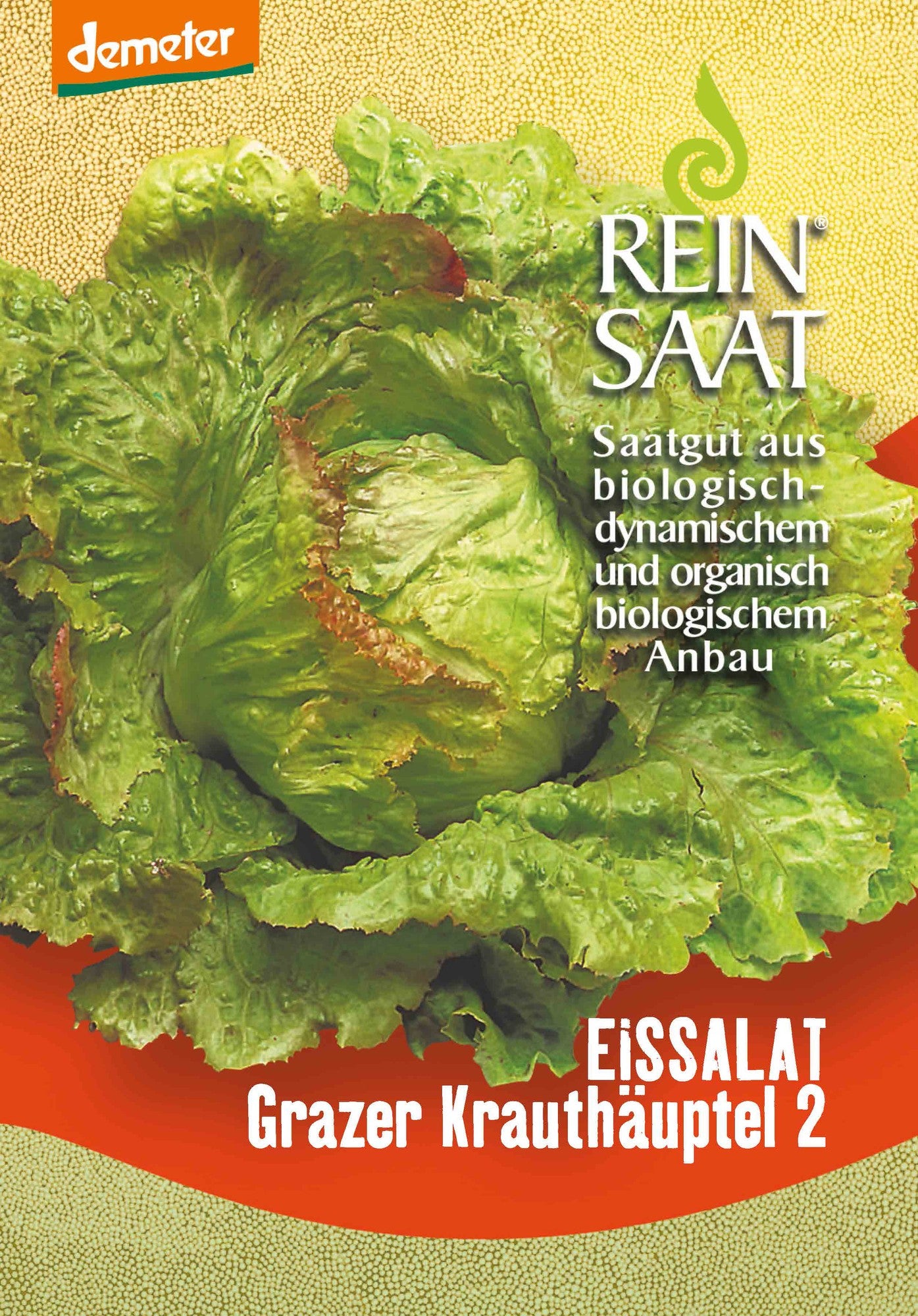 Artikelbild 1 von "BIO Eissalat Grazer Krauthäuptel 2" aus der Kategorie Eissalatsamen