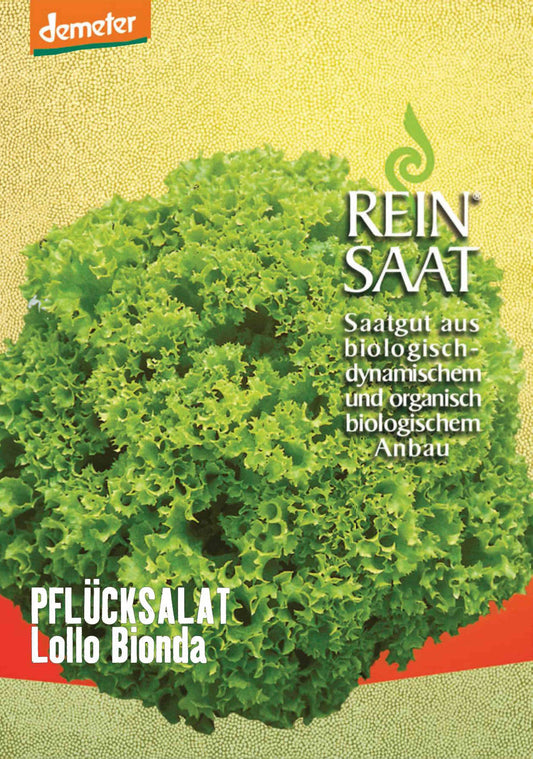 Artikelbild 1 von "BIO Pflücksalat Lollo bionda" aus der Kategorie Pflücksalatsamen