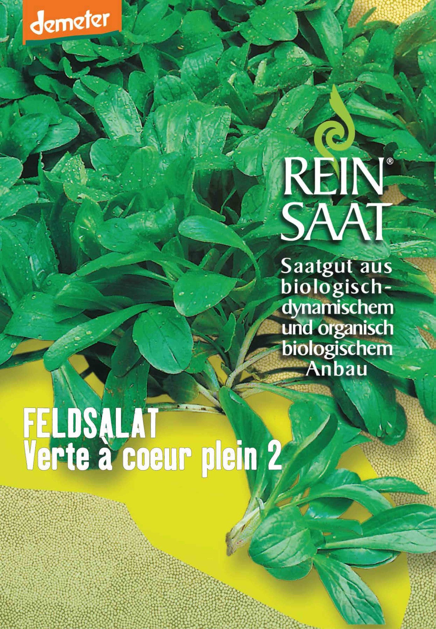 Artikelbild 1 von "BIO Feldsalat Verte à coeur plein 2" aus der Kategorie Feldsalatsamen