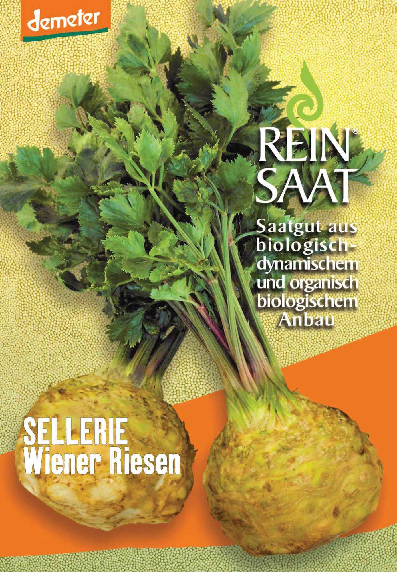 Artikelbild 1 von "BIO Knollensellerie Wiener Riesen" aus der Kategorie Knollenselleriesamen