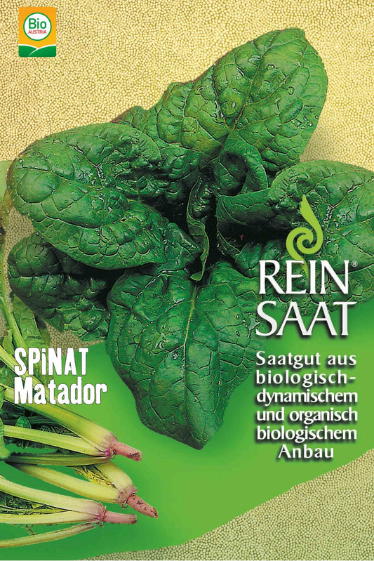 Artikelbild 1 von "BIO Spinat Matador" aus der Kategorie Spinatsamen