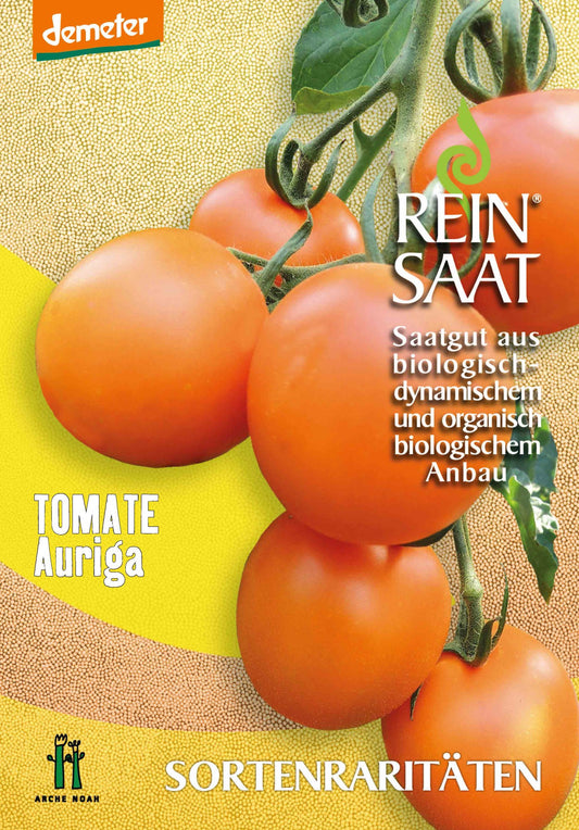 Artikelbild 1 von "BIO Salattomate Auriga" aus der Kategorie Kirschtomatensamen