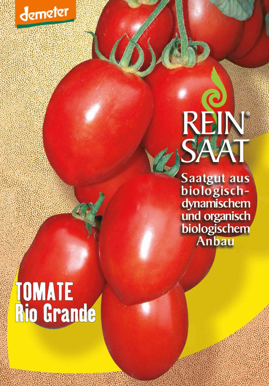 Artikelbild 1 von "BIO Saucentomate Rio Grande" aus der Kategorie Fleischtomatensamen
