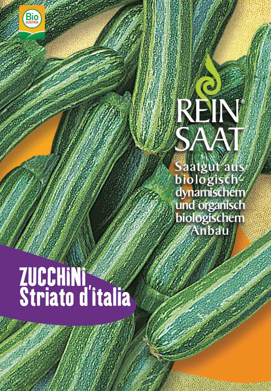 Artikelbild 1 von "BIO Zucchini Striato d'Italia, grün, gestreift, länglich"