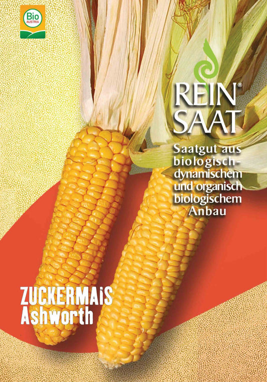 Artikelbild 1 von "BIO Zuckermais Ashworth" aus der Kategorie Maissamen