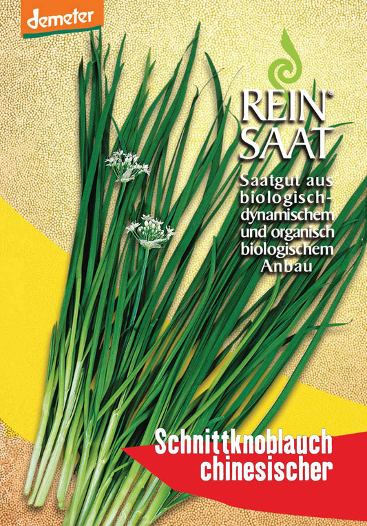 Artikelbild 1 von "BIO Chinesischer Schnittknoblauch" aus der Kategorie Knoblauchsamen