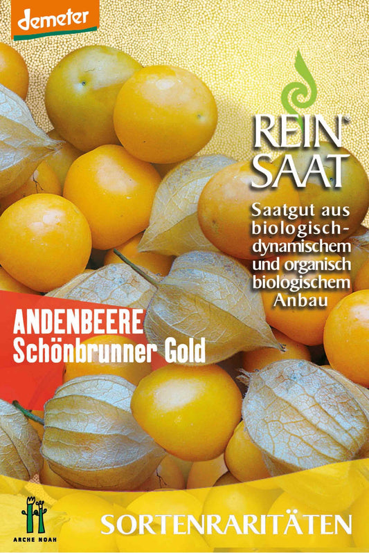 Artikelbild 1 von "BIO Andenbeere Schönbrunner Gold" aus der Kategorie Andenbeerensamen