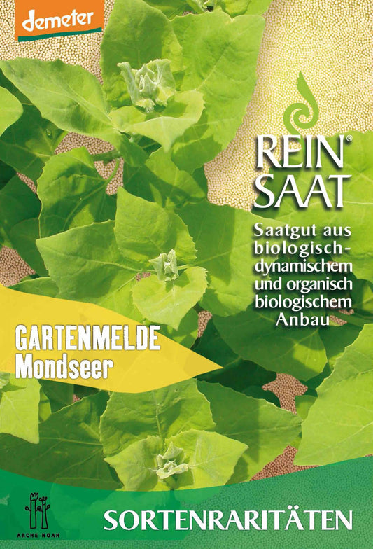Artikelbild 1 von "BIO Gartenmelde Mondseer" aus der Kategorie Spinatsamen