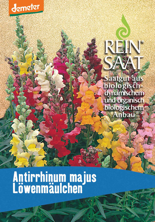 Artikelbild 1 von "BIO Löwenmäulchen niedrig" aus der Kategorie Löwenmaulsamen