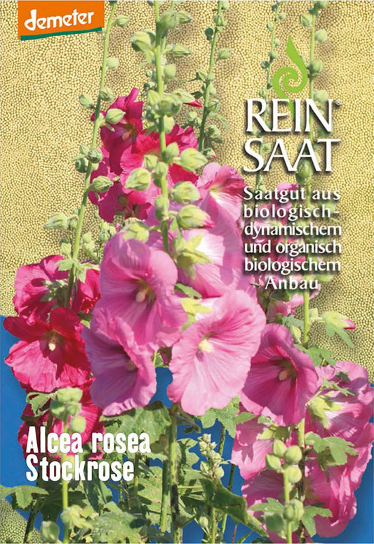 Artikelbild 1 von "BIO Stockrose" aus der Kategorie Stockrosensamen