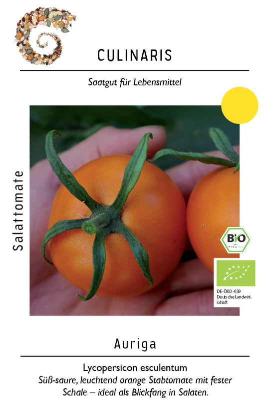 Artikelbild 1 von "BIO Salattomate Auriga (Orange)" aus der Kategorie Tomatensamen