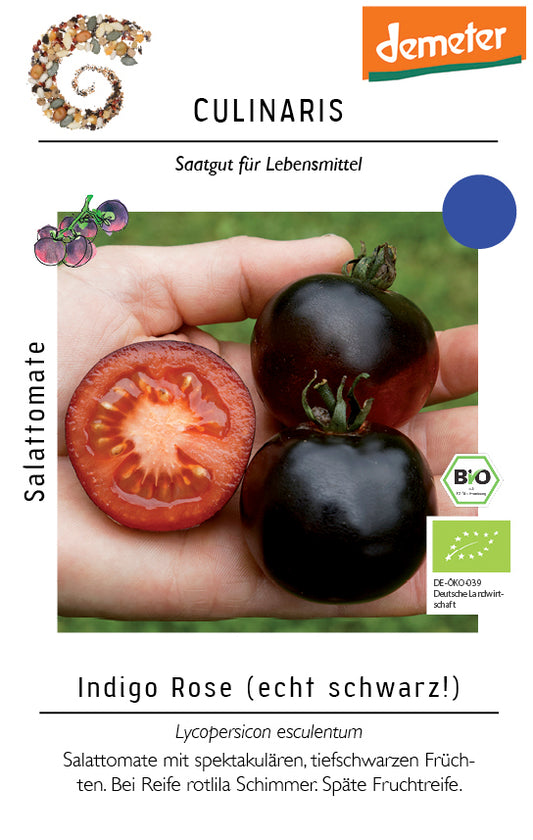 Artikelbild 1 von "BIO Salattomate Indigo Rose" aus der Kategorie Tomatensamen