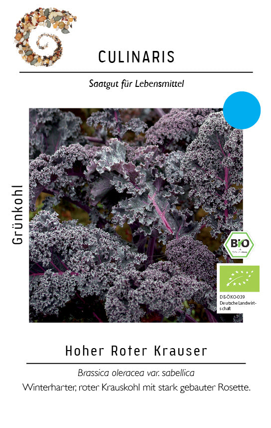 Artikelbild 1 von "BIO Grünkohl Hoher roter Krauser" aus der Kategorie Grünkohlsamen