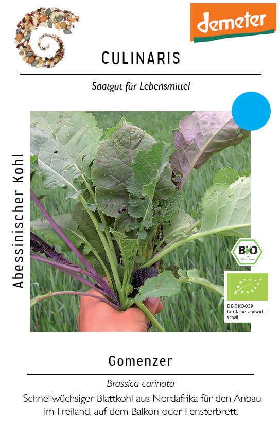 Artikelbild 1 von "BIO Abessinischer Kohl Gomenzer" aus der Kategorie Kohlsamen