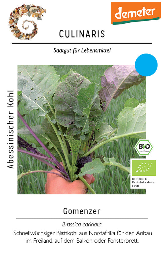 Artikelbild 1 von "BIO Abessinischer Kohl Gomenzer" aus der Kategorie Kohlsamen