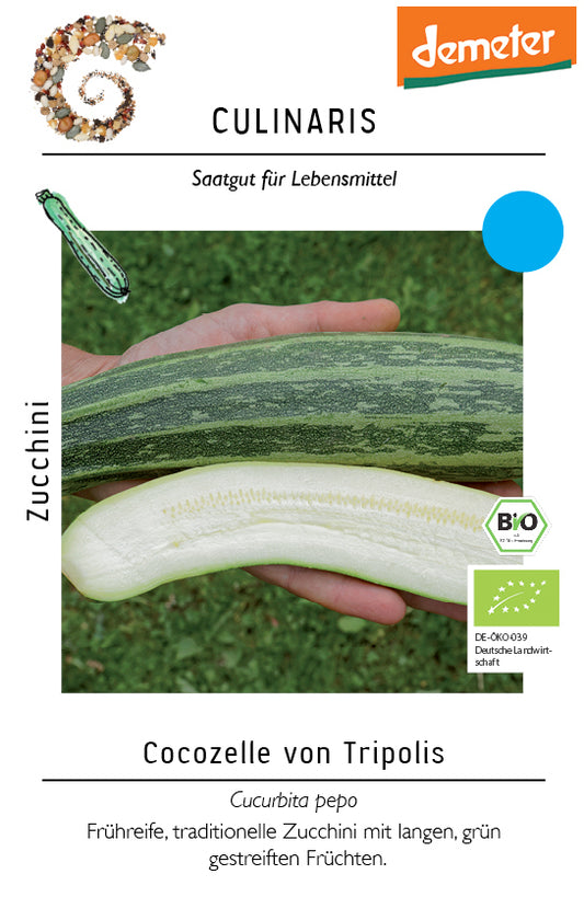Artikelbild 1 von "BIO Zucchini Cocozelle von Tripolis" aus der Kategorie Zucchinisamen