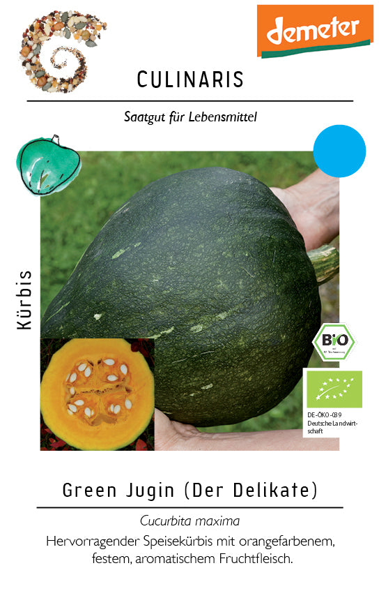 Artikelbild 1 von "BIO Kürbis Green Jugin" aus der Kategorie Kürbissamen