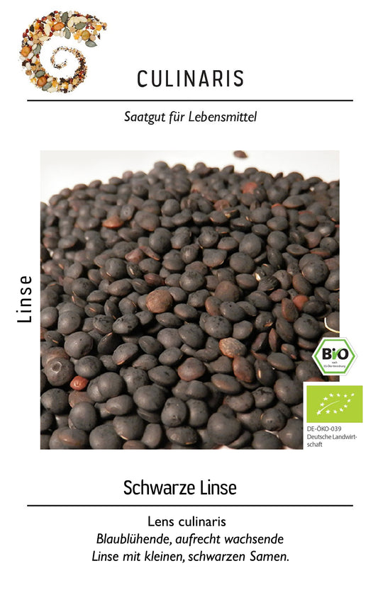 Artikelbild 1 von "BIO Schwarze Linse" aus der Kategorie Gemüsesamen