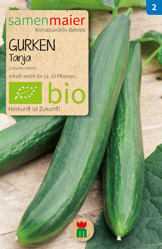 Artikelbild 1 von "BIO Tanja Freiland-Salatgurke" aus der Kategorie Freilandgurkensamen