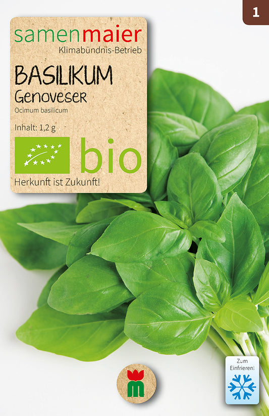 Artikelbild 1 von "BIO Basilikum Genoveser einjährig" aus der Kategorie Basilikumsamen