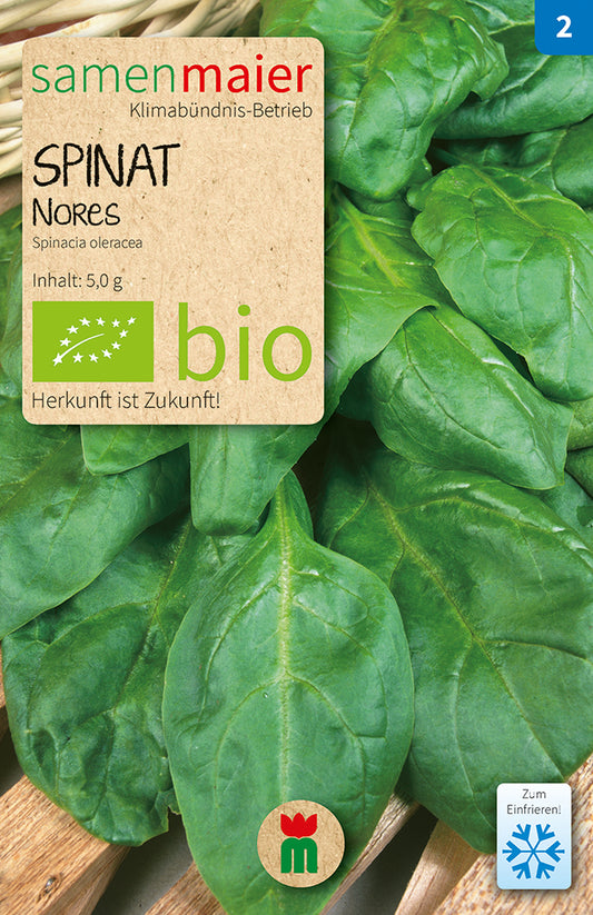 Artikelbild 1 von "BIO Spinat Nores" aus der Kategorie Spinatsamen