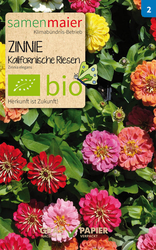 Artikelbild 1 von "BIO Zinnie Kalifornische Riesen Mischung" aus der Kategorie Zinniensamen
