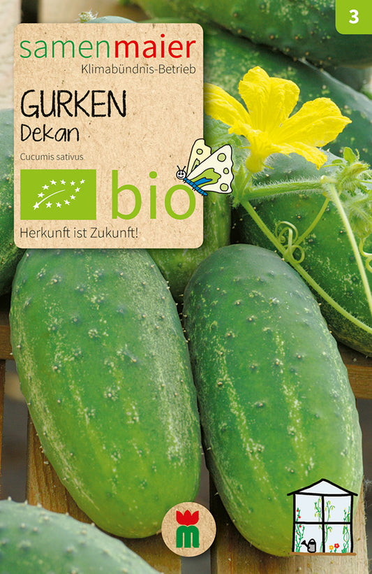 Artikelbild 1 von "BIO Gurke Dekan" aus der Kategorie Gurkensamen