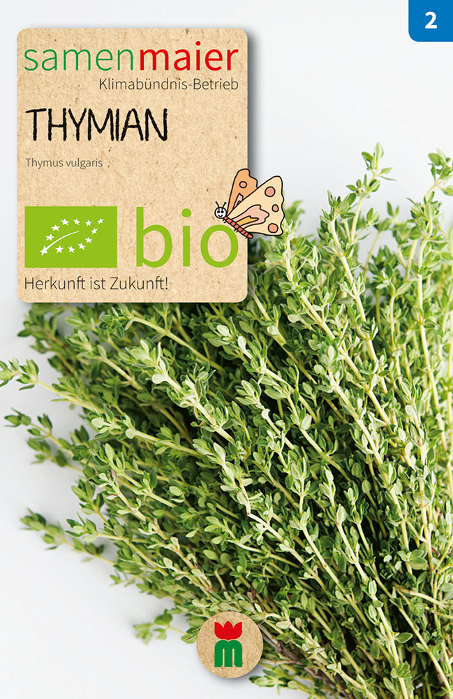 Artikelbild 1 von "BIO Thymian mehrjährig" aus der Kategorie Thymiansamen