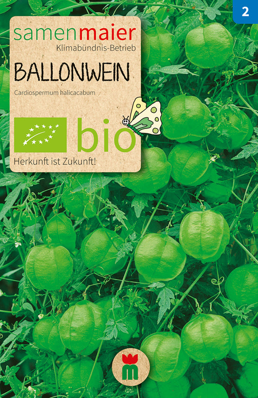 Artikelbild 1 von "BIO Ballonwein" aus der Kategorie Blumensamen