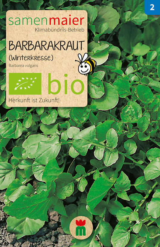Artikelbild 1 von "BIO Barbarakraut (Winterkresse)" aus der Kategorie Salatsamen