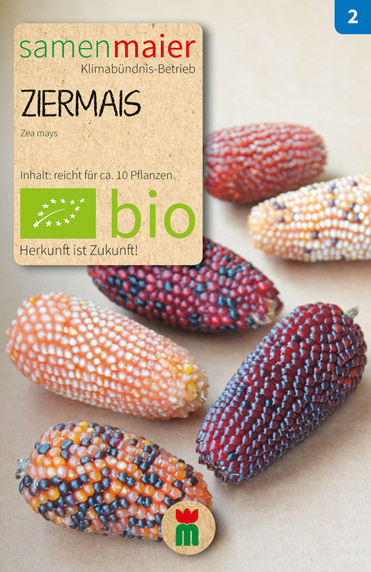 Artikelbild 1 von "BIO Ziermais buntkörnige Mischung" aus der Kategorie Maissamen