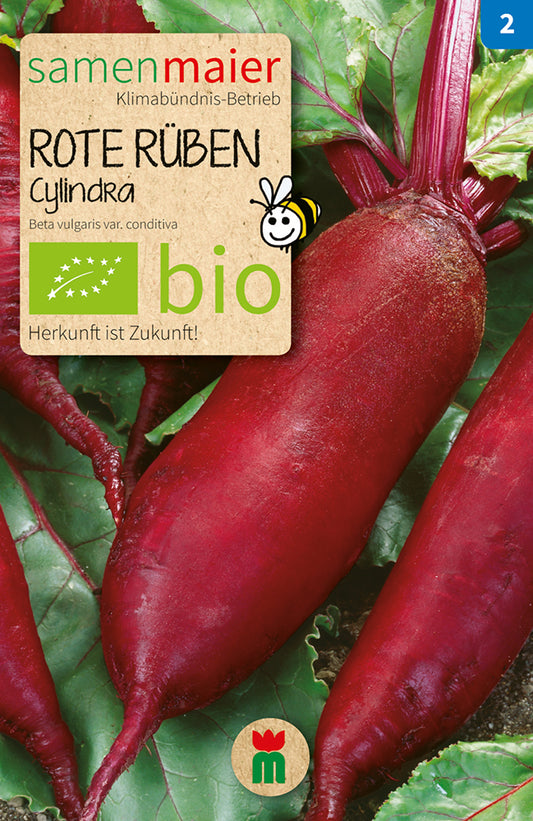 Artikelbild 1 von "BIO Rote Rübe Cylindra lange" aus der Kategorie Rübensamen