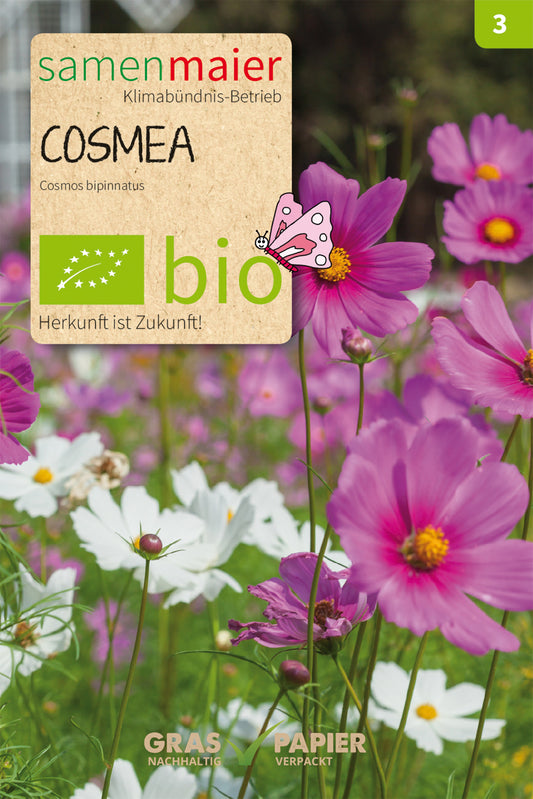 Artikelbild 1 von "BIO Cosmea (Schmuckkörbchen) Mischung" aus der Kategorie Cosmeasamen