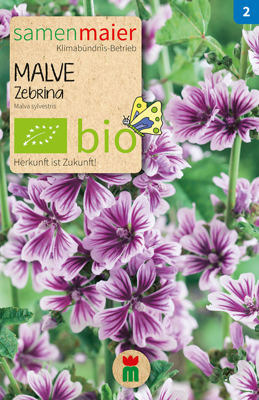 Artikelbild 1 von "BIO Malve Zebrina" aus der Kategorie Malvensamen
