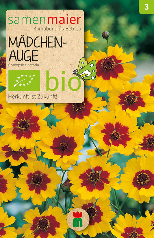 Artikelbild 1 von "BIO Mädchenauge" aus der Kategorie Blumensamen