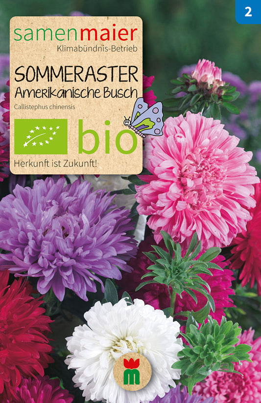 Artikelbild 1 von "BIO Sommeraster Amerik. Busch Mischung" aus der Kategorie Asternsamen