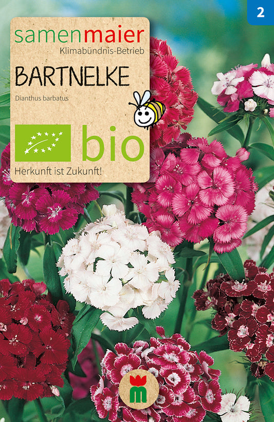 Artikelbild 1 von "BIO Bartnelke einfach Mischung" aus der Kategorie Nelkensamen