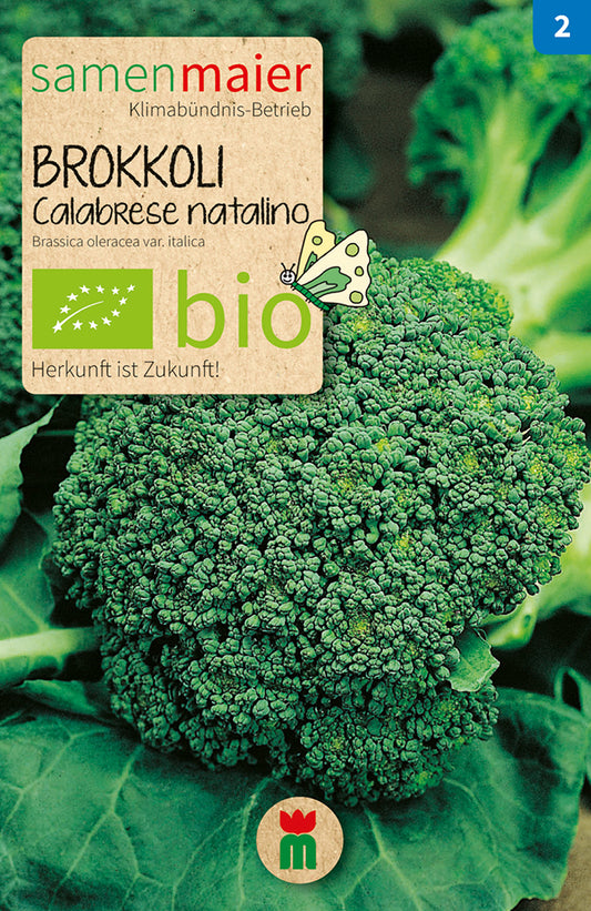 Artikelbild 1 von "BIO Brokkoli Calabrese natalino" aus der Kategorie Brokkolisamen