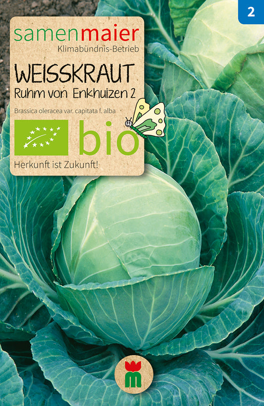 Artikelbild 1 von "BIO Weißkraut Ruhm von Enkhuizen 2" aus der Kategorie Weißkohlsamen