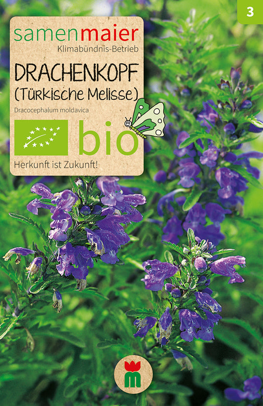 Artikelbild 1 von "BIO Drachenkopf (türk.Melisse)" aus der Kategorie Melissensamen