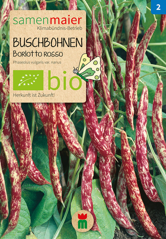Artikelbild 1 von "BIO Buschbohne (Auskernbohne) Borlotto rosso" aus der Kategorie Buschbohnensamen