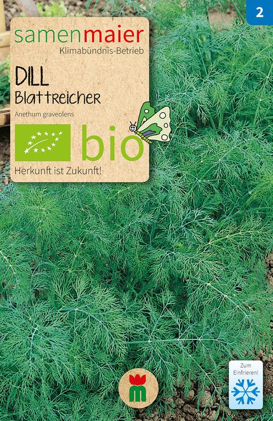 Artikelbild 1 von "BIO Dill Blattreicher einjährig" aus der Kategorie Dillsamen