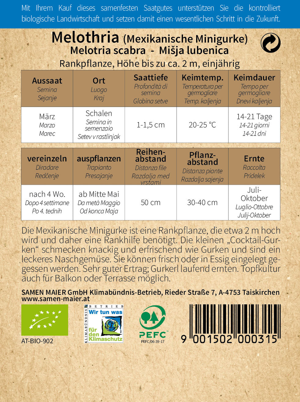 Artikelbild 2 von "BIO Melothria (Mexikan. Minigurke)" aus der Kategorie Minigurkensamen