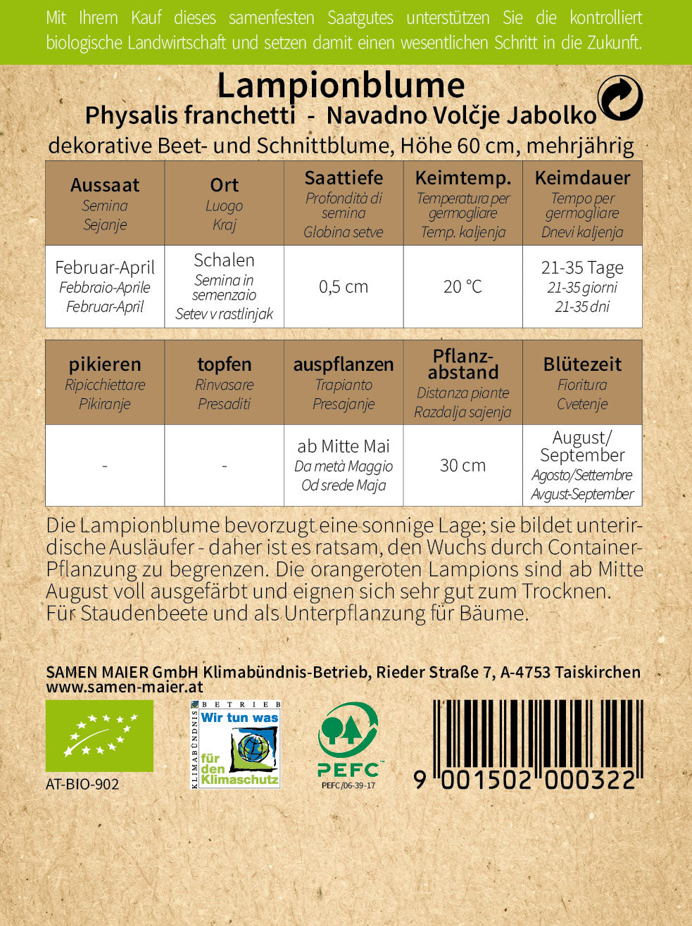 Artikelbild 2 von "BIO Lampionblume" aus der Kategorie Blumensamen