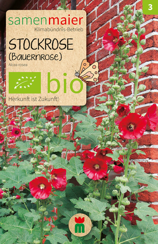 Artikelbild 1 von "BIO Stockrose (Bauernrose) einfache dunkelrot" aus der Kategorie Stockrosensamen